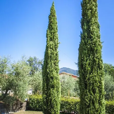 Terra Etruria Farm stay
